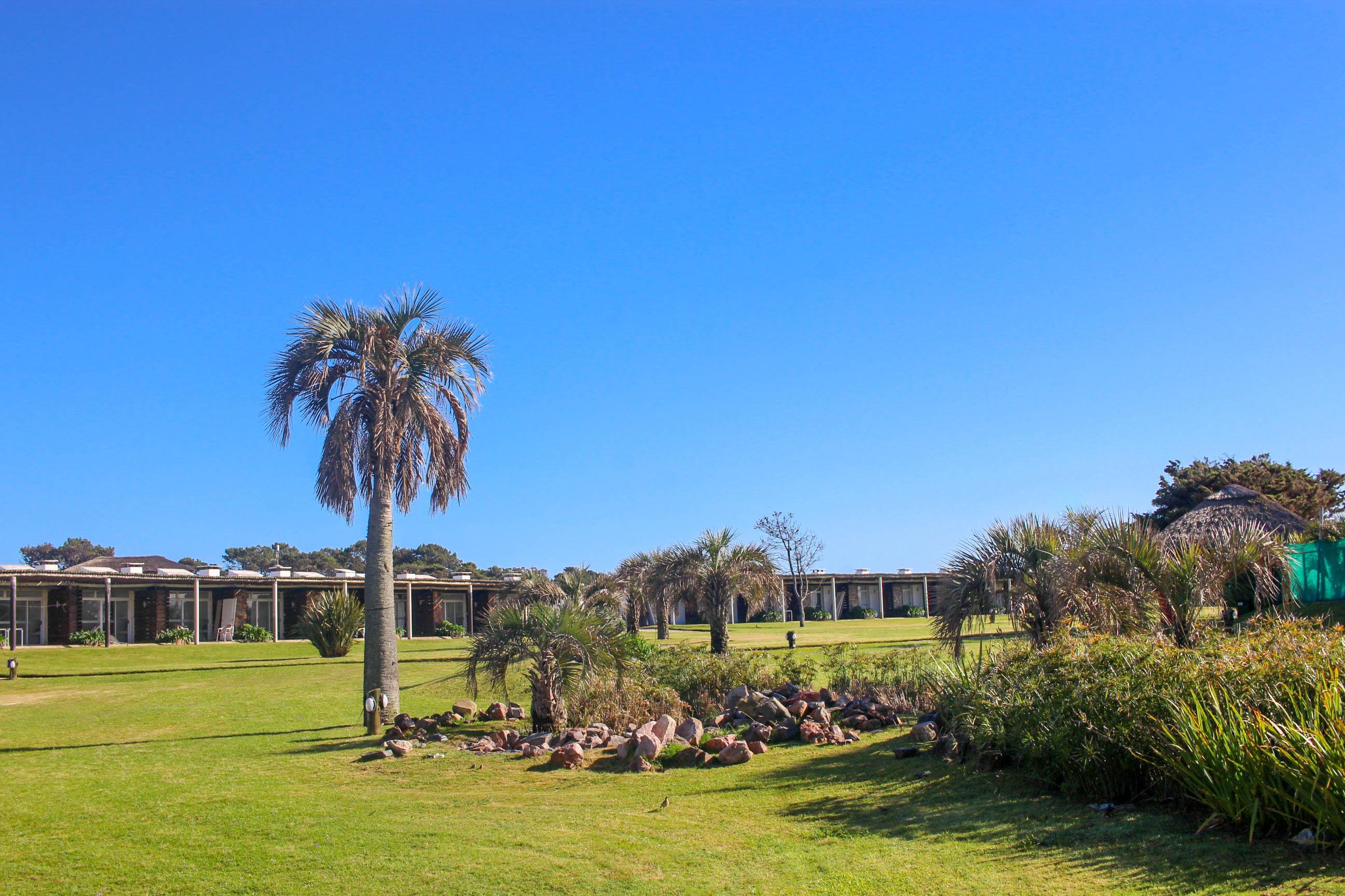 Tio Tom Villa Punta del Este Bagian luar foto